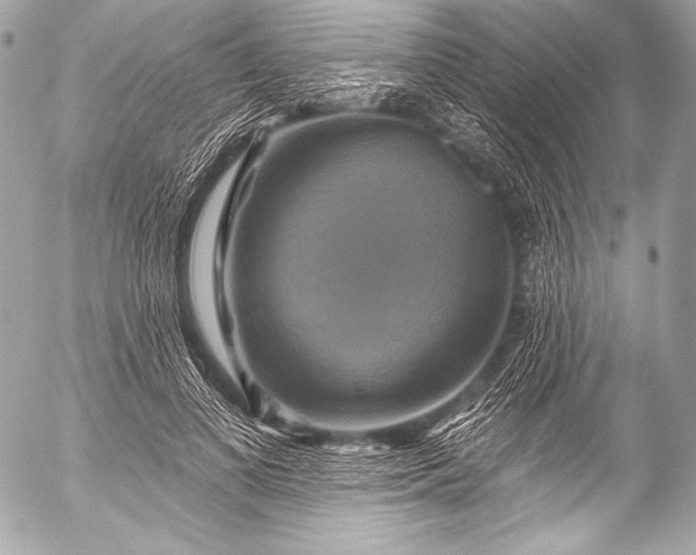 X0000053060693200507251449