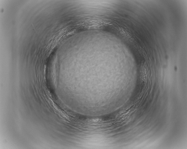 X0000053060695200507251449