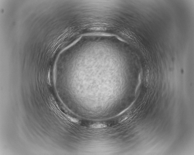 X0000053060696200507251449