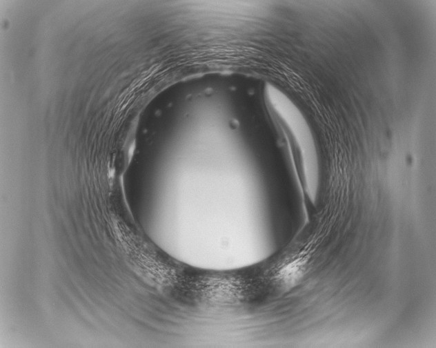 X0000053060697200507251449