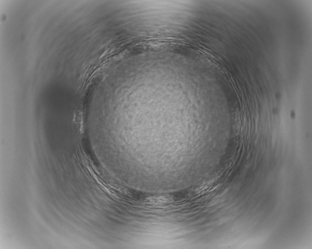 X0000053060703200507251449