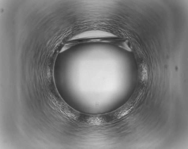X0000053060704200507251449