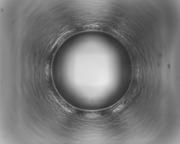 X0000053060708200507251449
