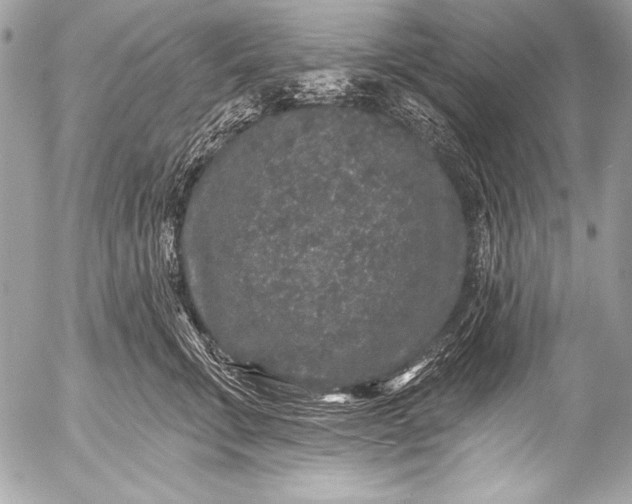 X0000053060711200507251449