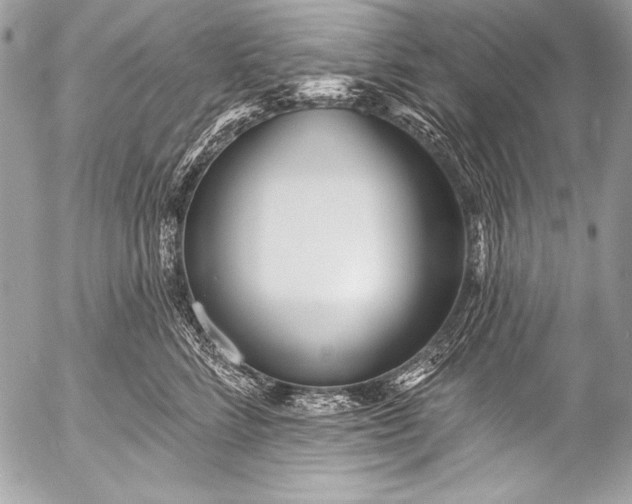 X0000053060712200507251449