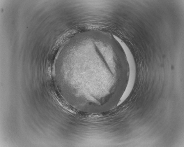 X0000053060716200507251449