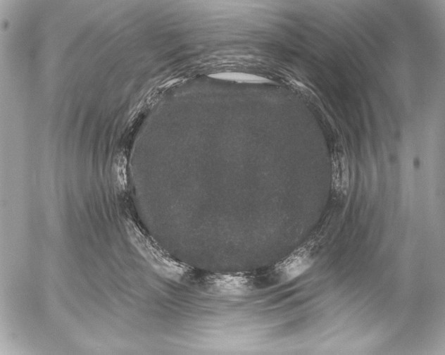 X0000053060718200507251449