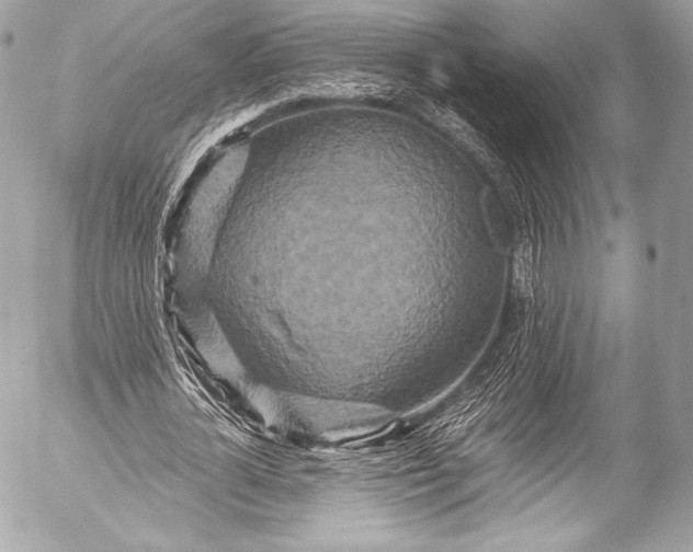 X0000053060724200507251448