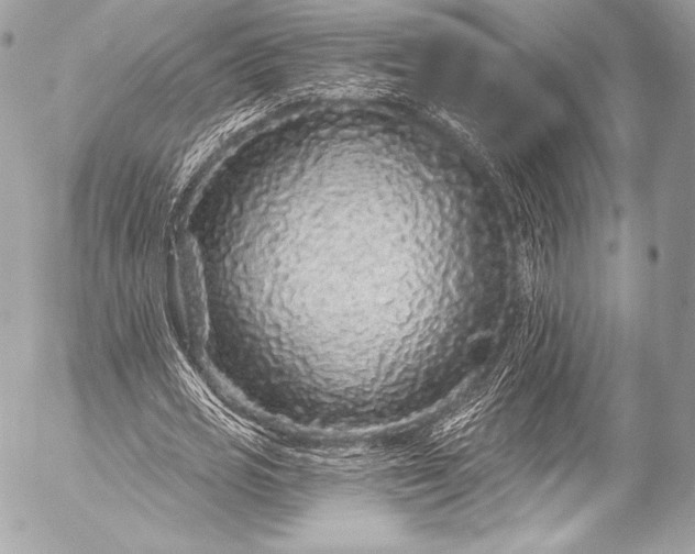 X0000053060725200507251448