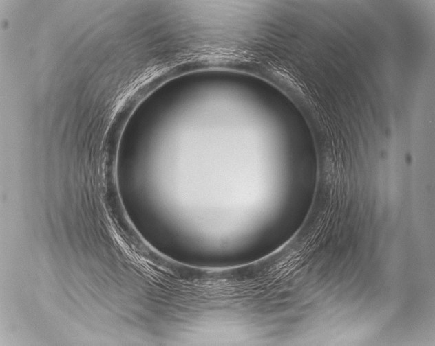 X0000053060730200507251448