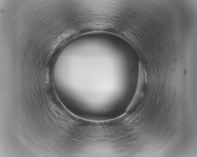 X0000053060731200507251448
