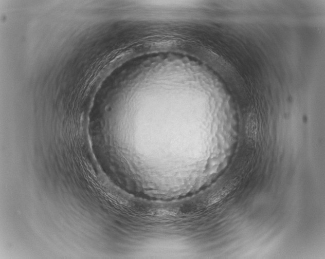 X0000053060737200507251448