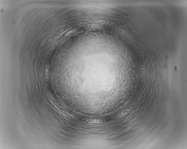 X0000053060741200507251448