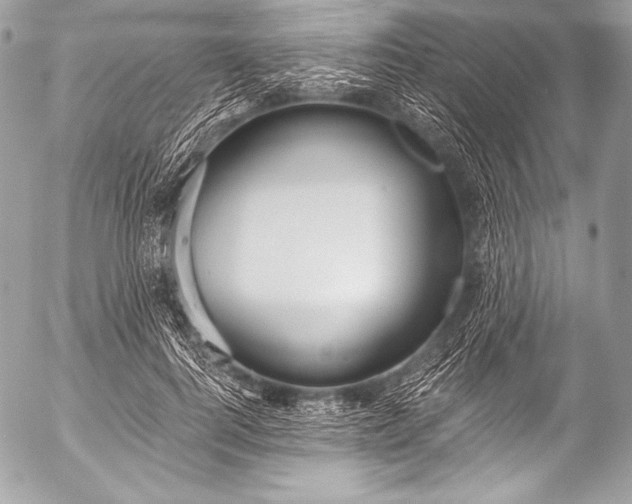 X0000053060744200507251448