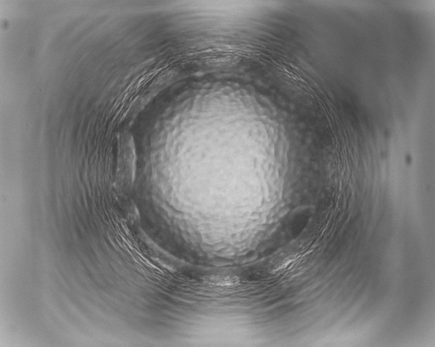 X0000053060745200507251448