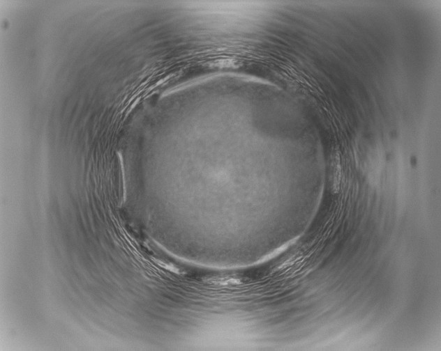 X0000053060747200507251448