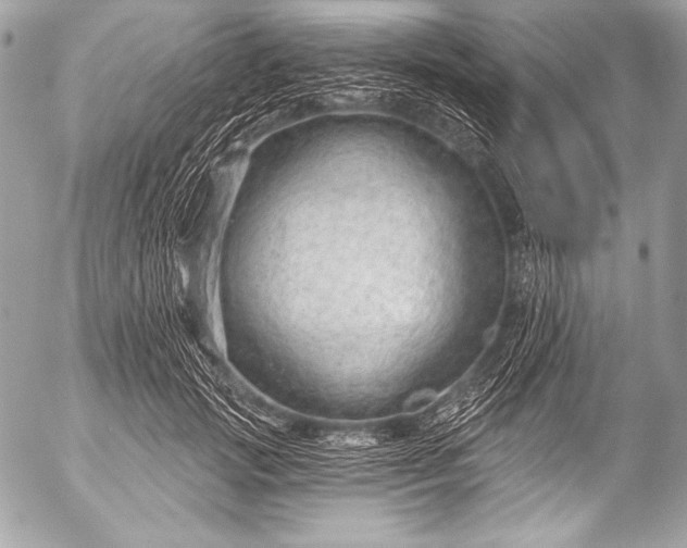 X0000053060749200507251448
