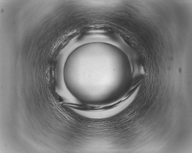 X0000053060750200507251448