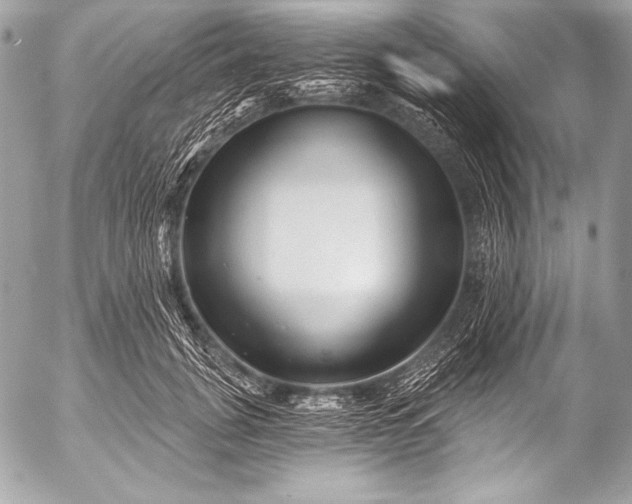 X0000053060751200507251448