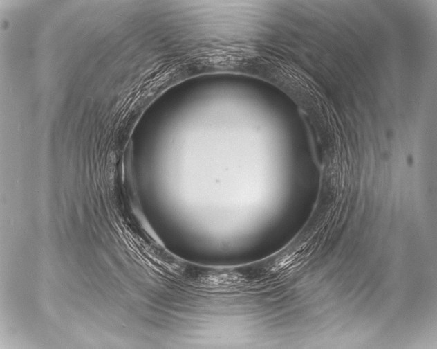X0000053060752200507251448