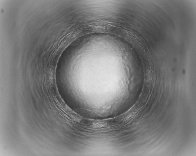 X0000053060753200507251448