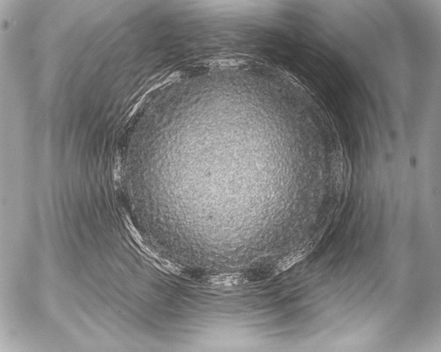 X0000053060761200507251448