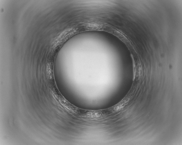 X0000053060764200507251448
