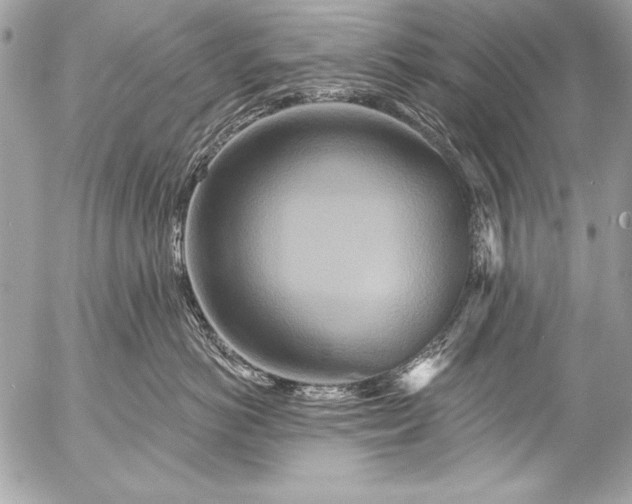 X0000053060766200507251448