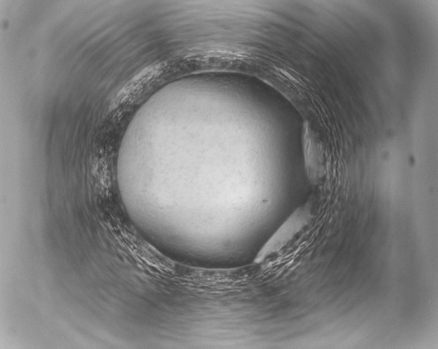 X0000053060774200507251448