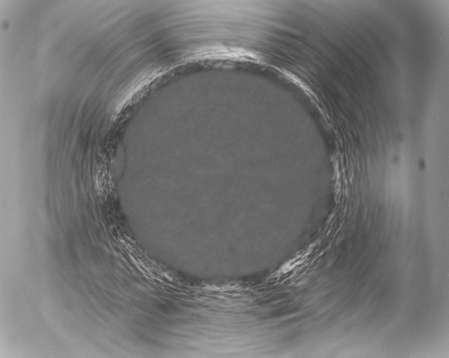 X0000053060775200507251448