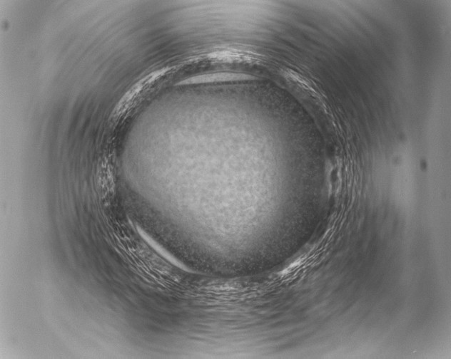 X0000053060776200507251447