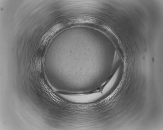 X0000053060777200507251447