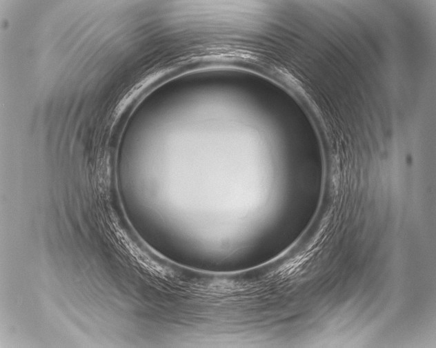 X0000053060787200507251447