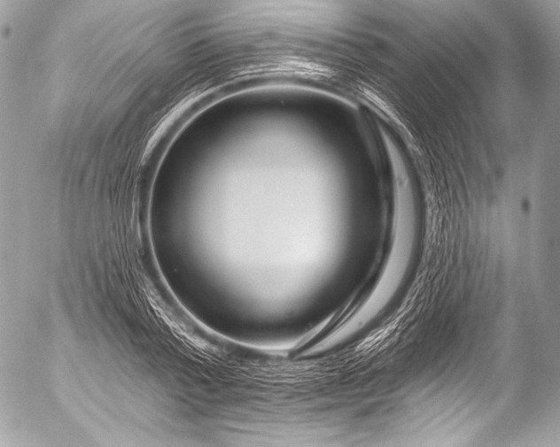 X0000053060788200507251447
