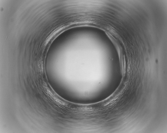 X0000053060789200507251447
