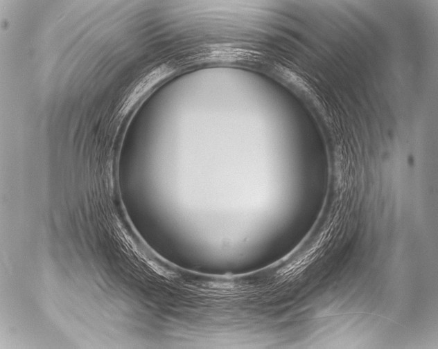 X0000053060794200507251447