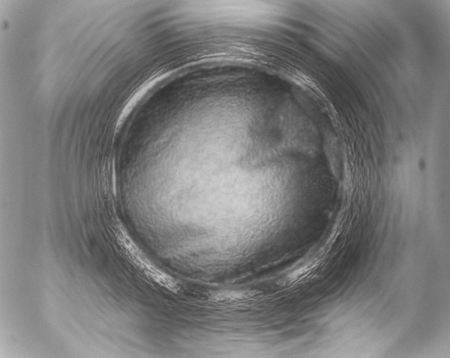 X0000053060796200507251447