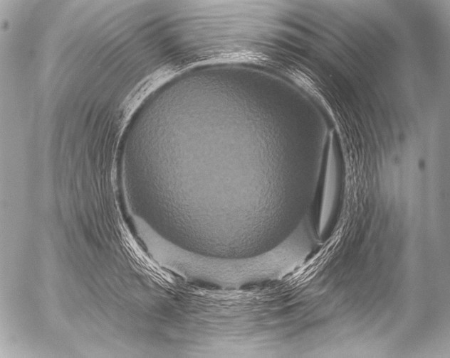 X0000053060797200507251447