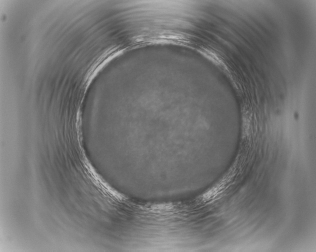 X0000053060798200507251447