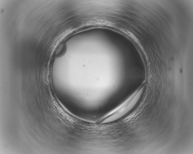 X0000053060799200507251447