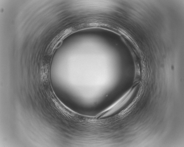 X0000053060801200507251447