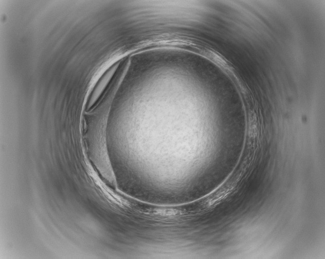 X0000053060803200507251447