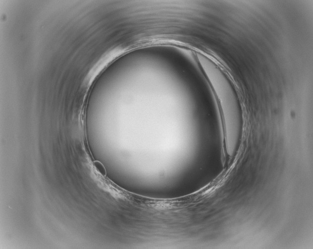 X0000053060814200507251447