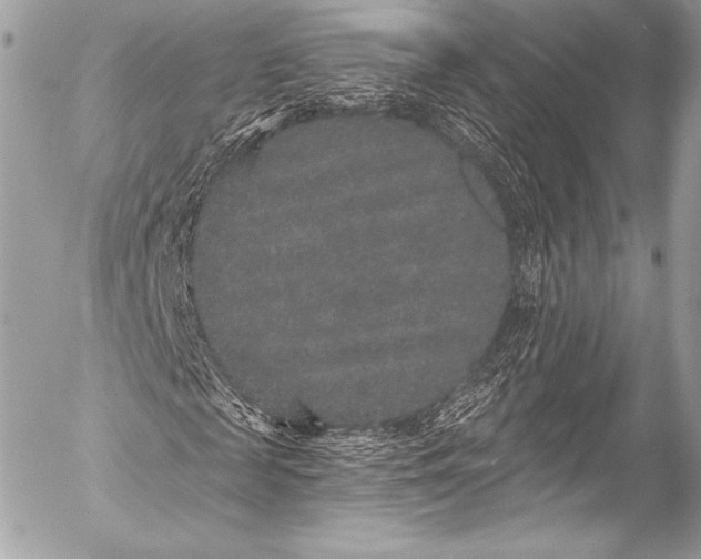 X0000053060817200507251446