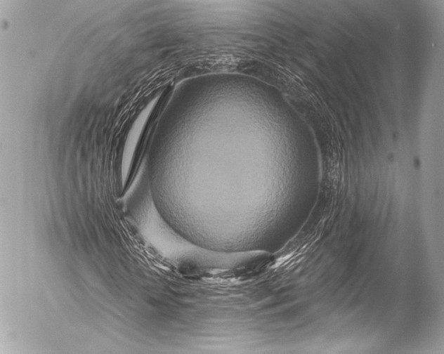 X0000053060818200507251446