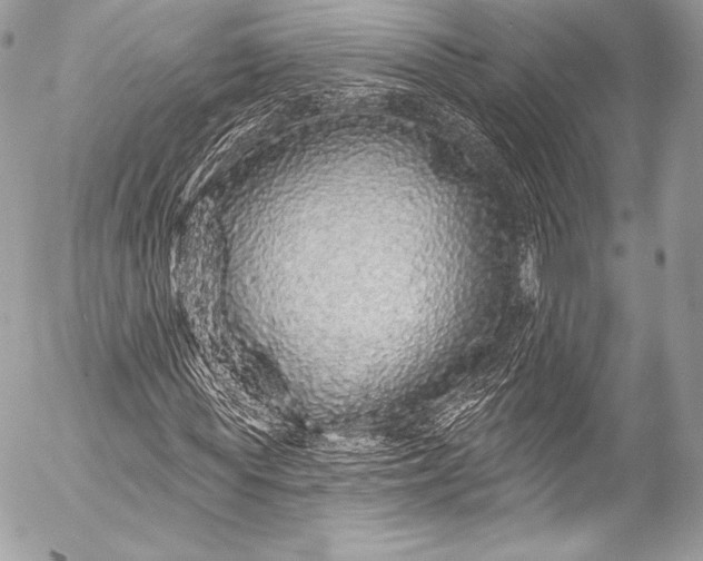 X0000053060819200507251446
