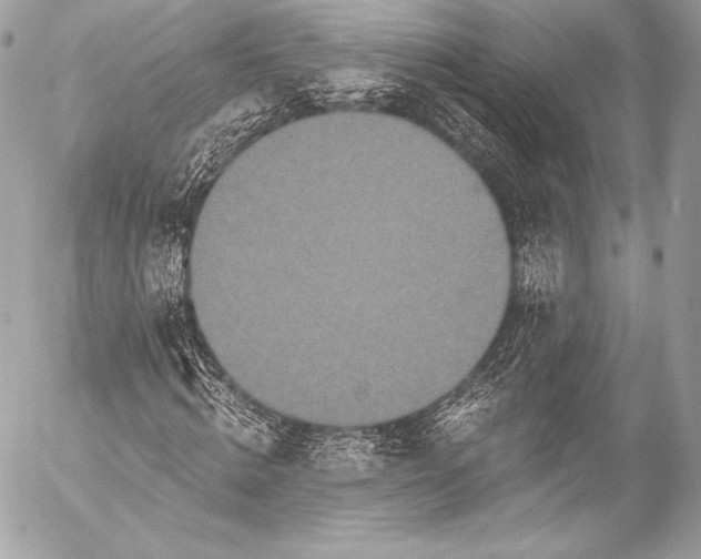 X0000053060820200507251446