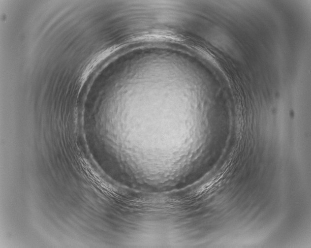 X0000053060831200507251446