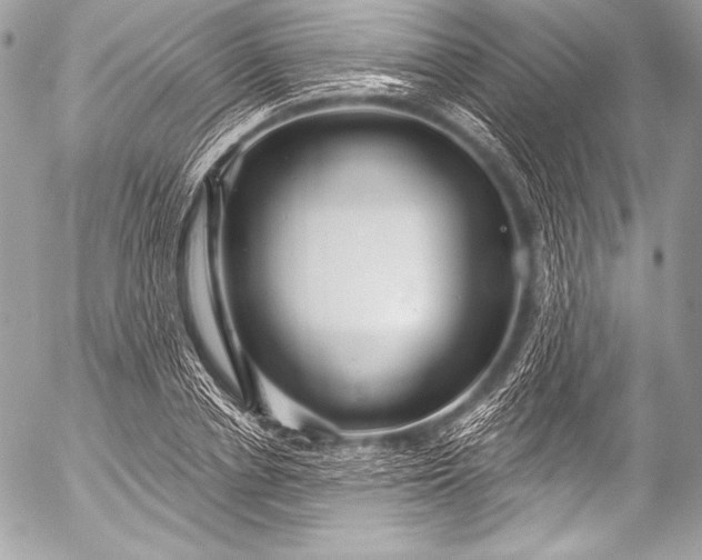 X0000053060834200507251446