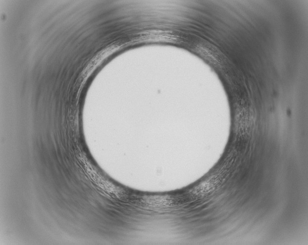 X0000053060836200507251446